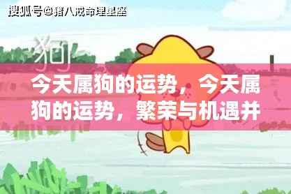 今日属狗运势概览，繁荣与机遇并存