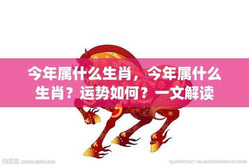 今年属什么生肖？运势详解一文解读