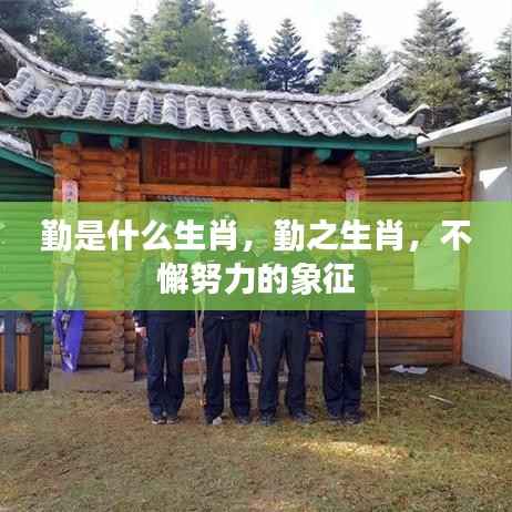 勤之生肖，不懈努力的象征揭秘