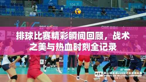 排球比赛精彩瞬间回顾，战术之美与热血时刻全记录