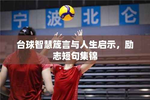 井蛙醯鸡 第4页