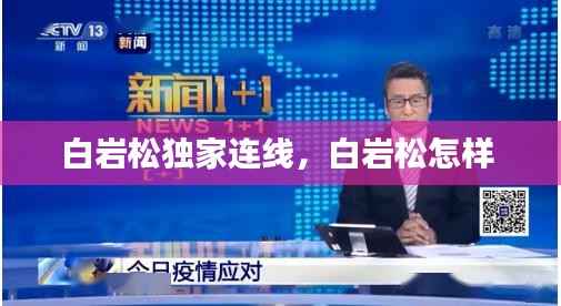 白岩松独家连线，白岩松怎样 