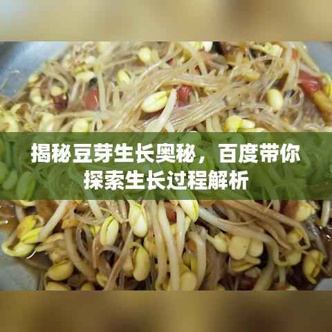 敷衍了事 第4页